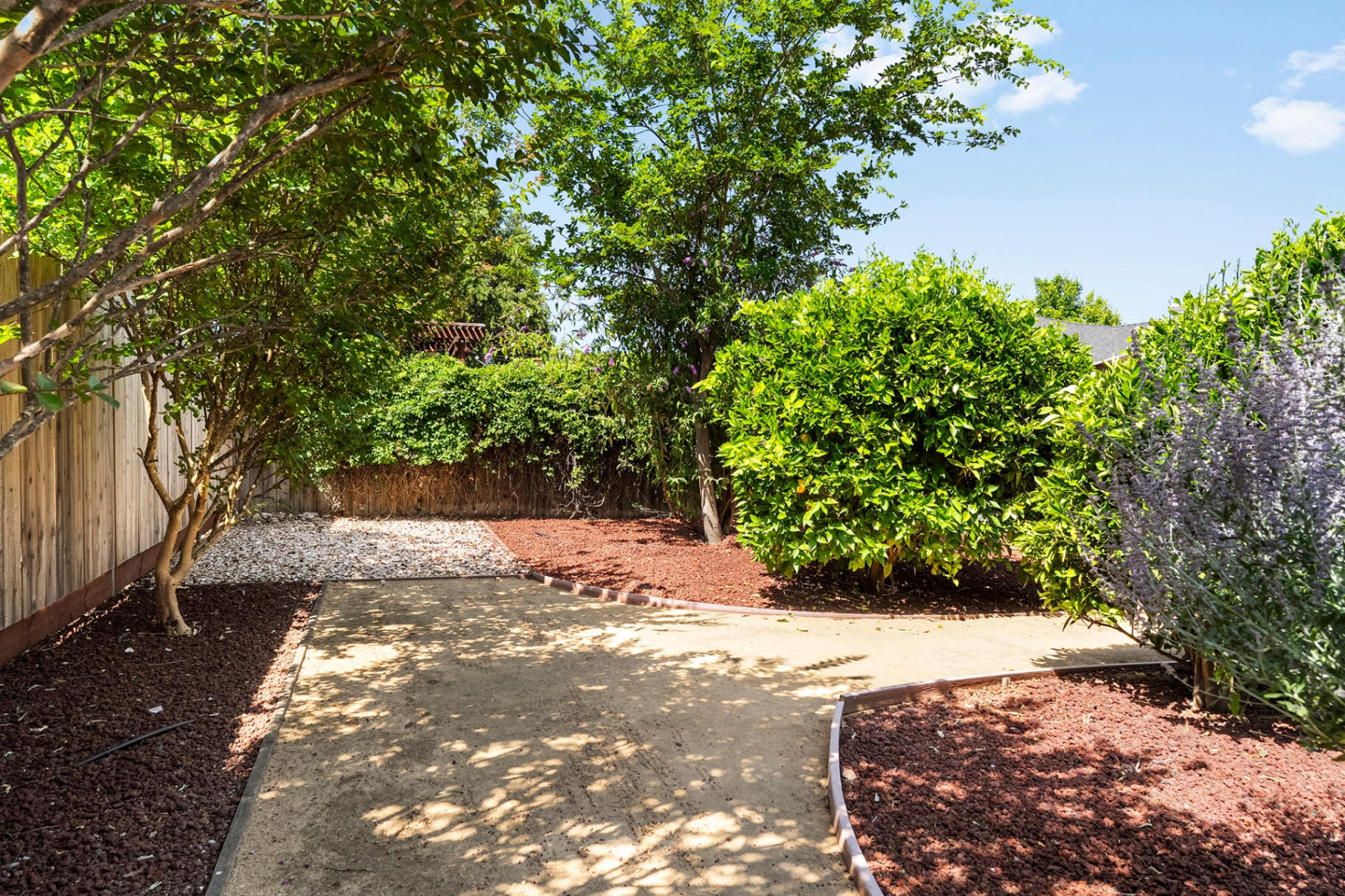 Shaded garden path with mature plantings