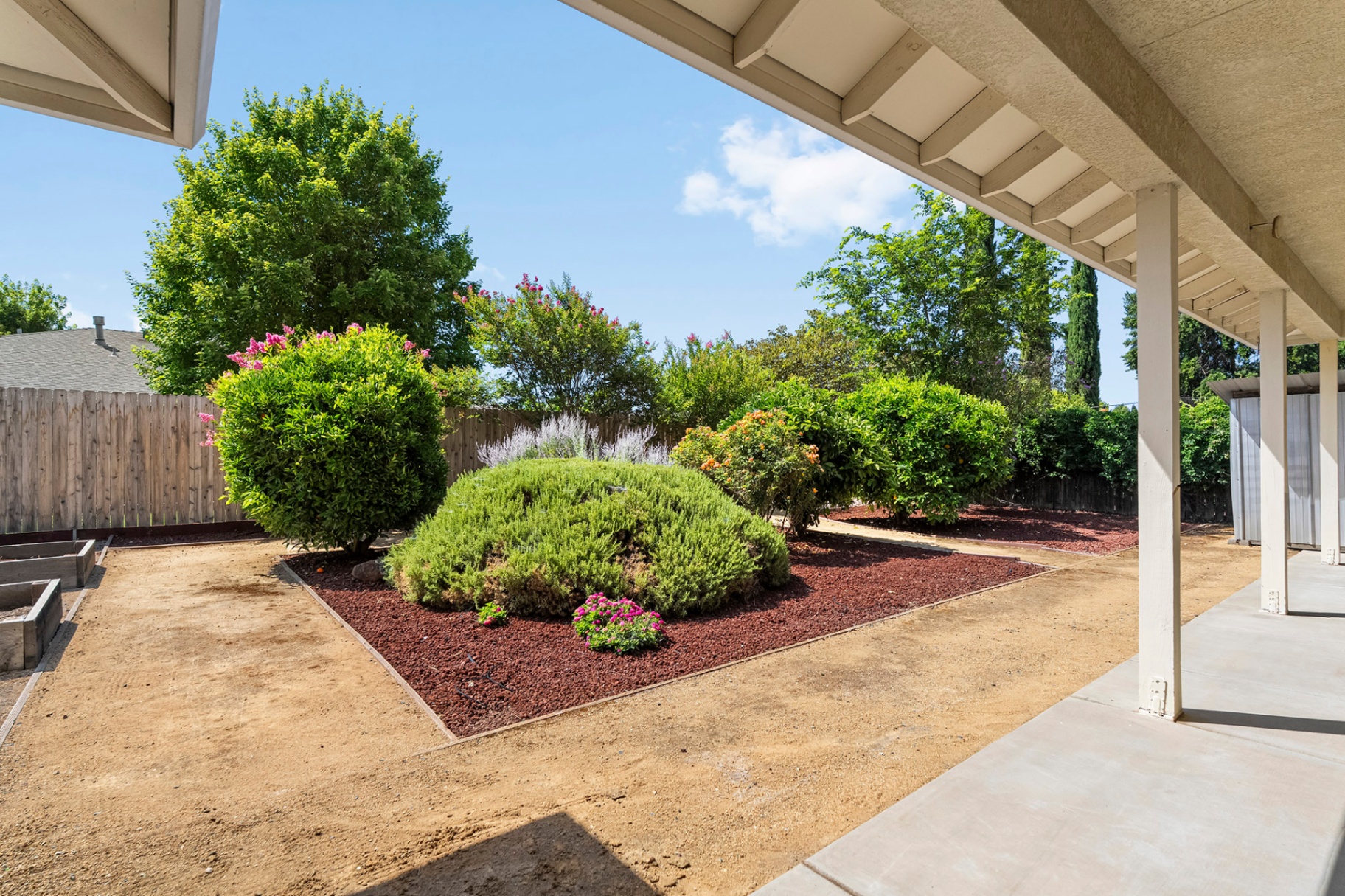 Landscaped backyard with mature trees and shrubs
